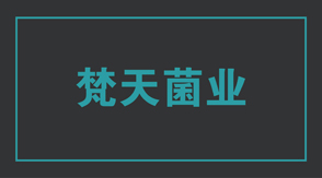 食品行业平顶山冲锋衣设计款式